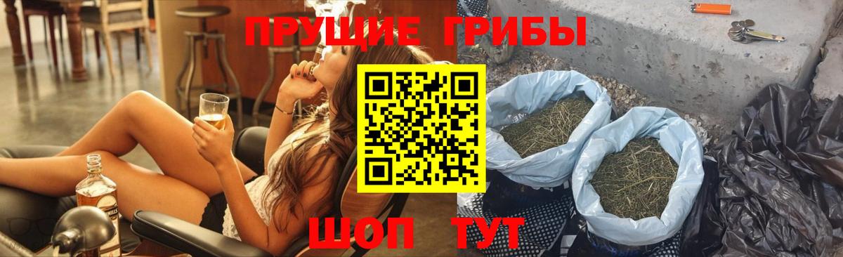 Добрянка  Псилоцибиновые грибы прущие грибы  Галлюциногенные грибы GOLDEN TEACHER  Вход с VPN 